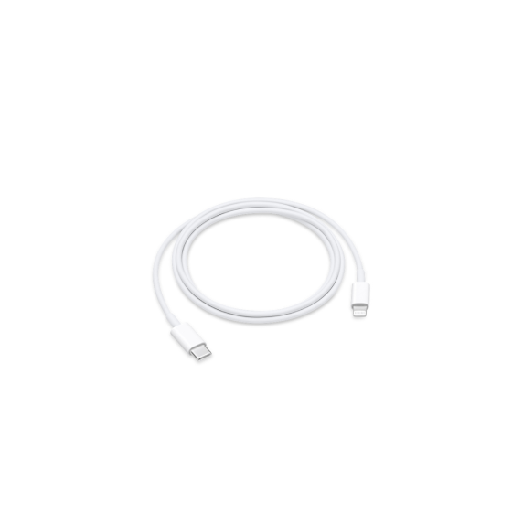Apple USB C to Lightning Cable